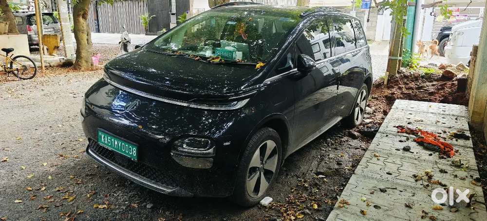 Mg Windsor Ev Essence 2025
