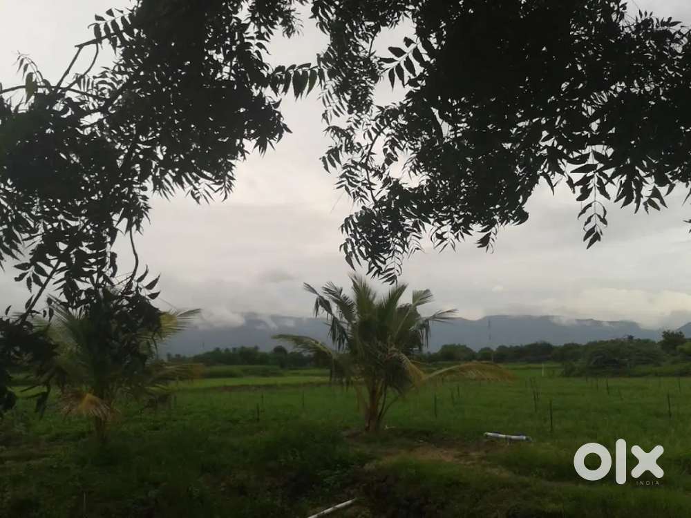 Agriculture Land Properties For Sale & Rent in Tiruchirappalli OLX