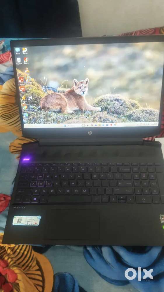 Hp 15 AMD RYZEN