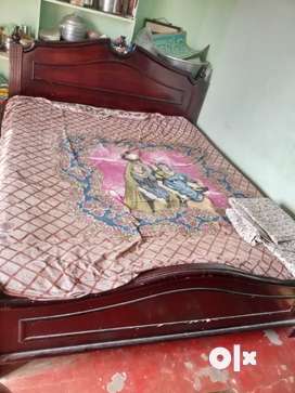 Olx second hand store cots