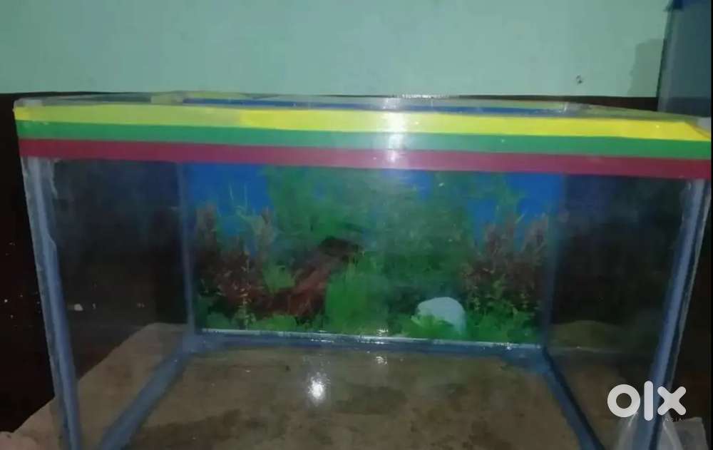 Aquarium for sale