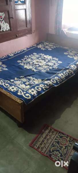 Single Bed Buy Sell Used Furniture in Lucknow OLX