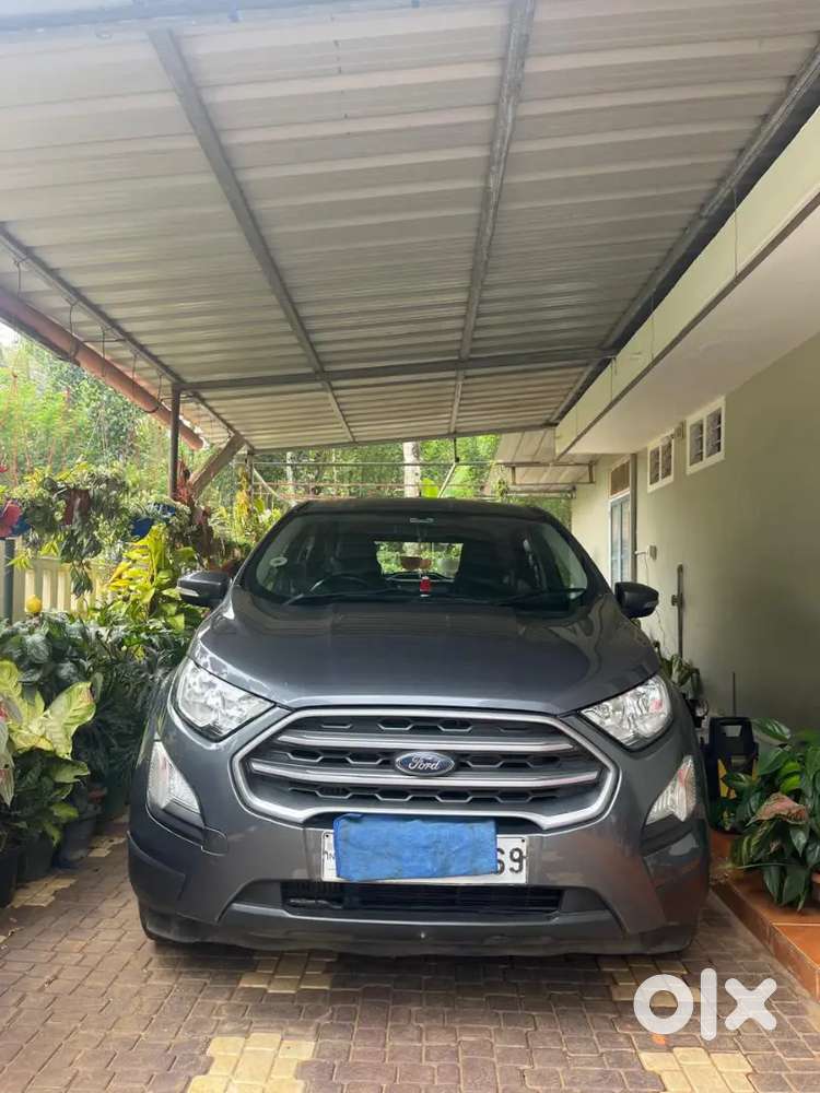 2018 Last Month Single Owner