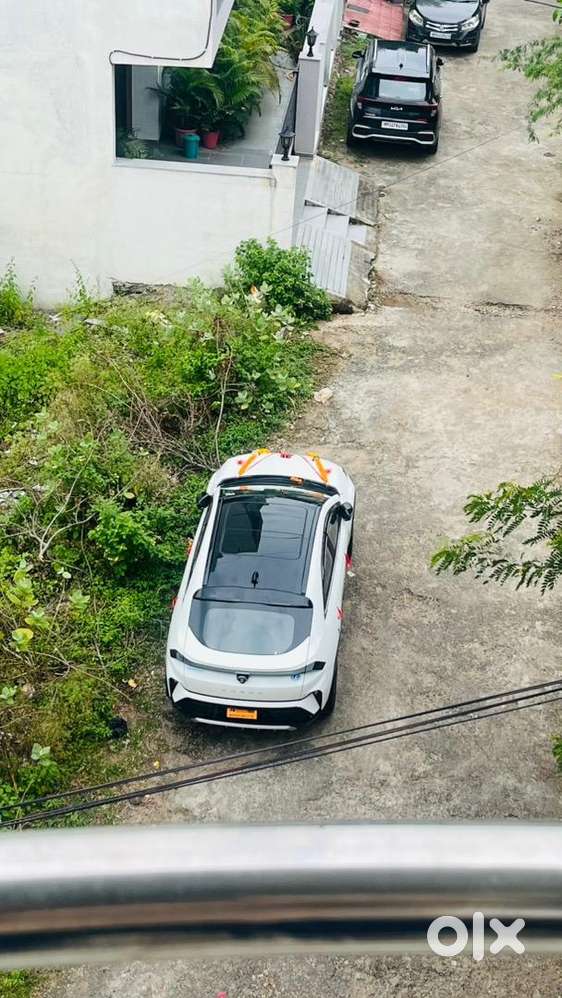 Tata Curvv 2024 Petrol 11000 Km Driven