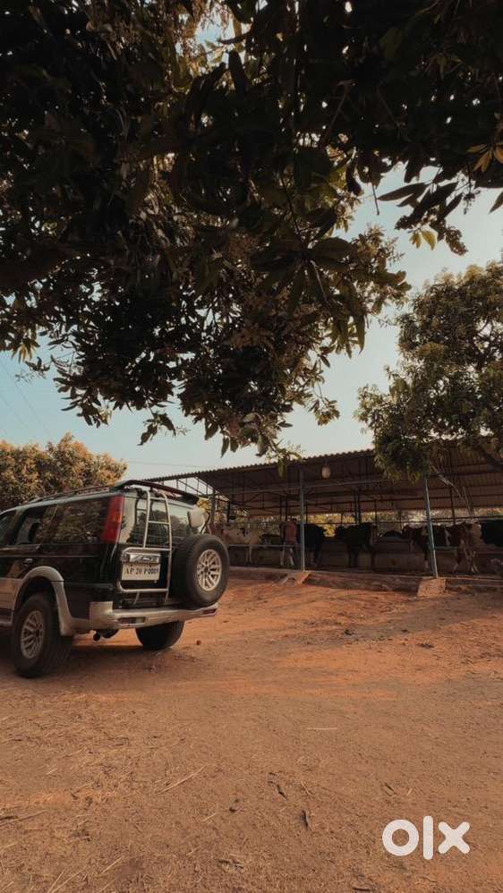 Ford Endeavour Diesel Car 2007