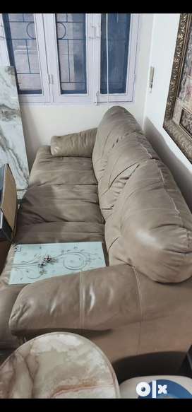 Olx deals leather couches