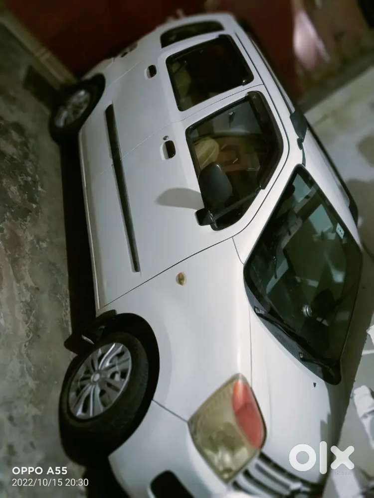 Maruti Suzuki Wagon R Flex Fuel 2009