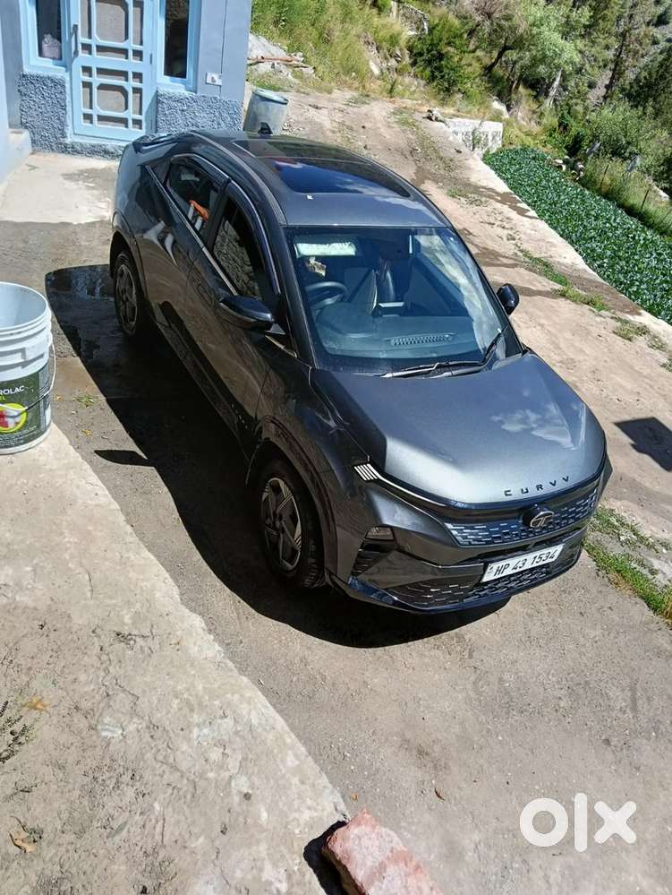 Tata Curvv Petrol 2025 Year