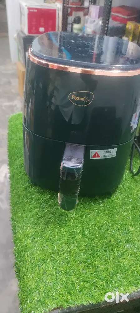 Air Fryer pigeon