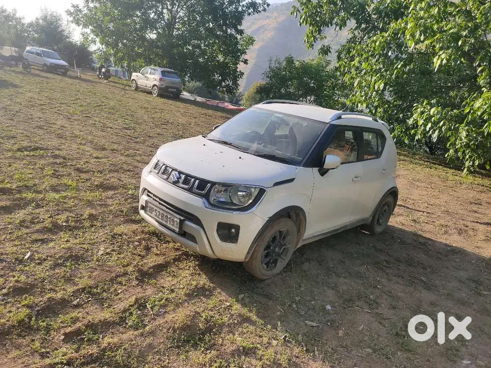 Ignis Zeta White 2020 Manual