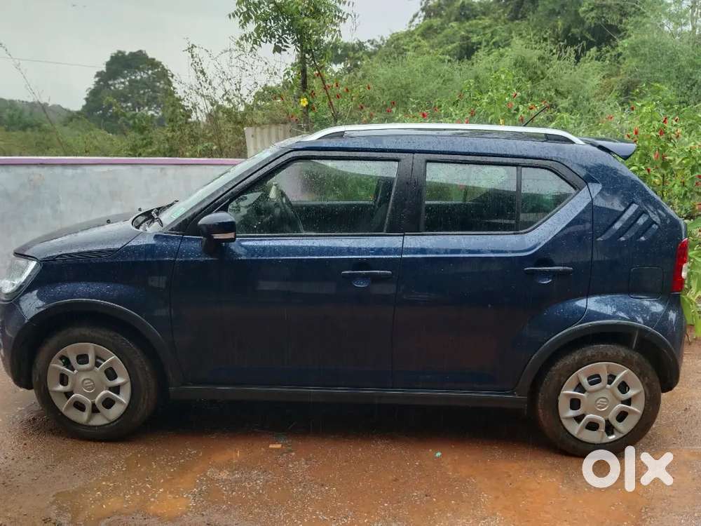 Maruti Suzuki Ignis Delta 2024