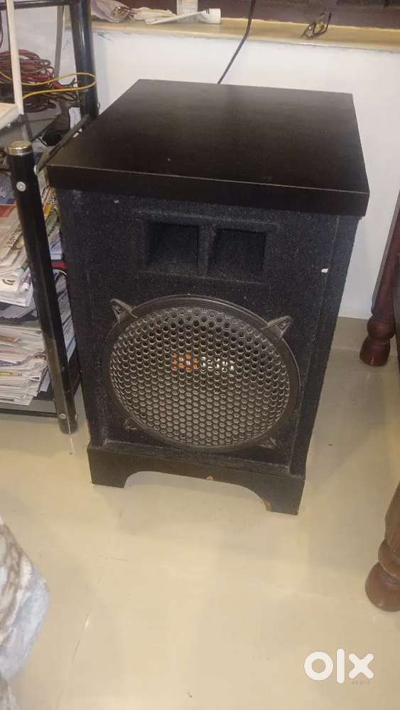 Subwoofer 12 inch 1200 watte