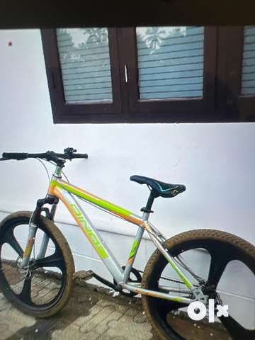 Dinos best sale fat bike