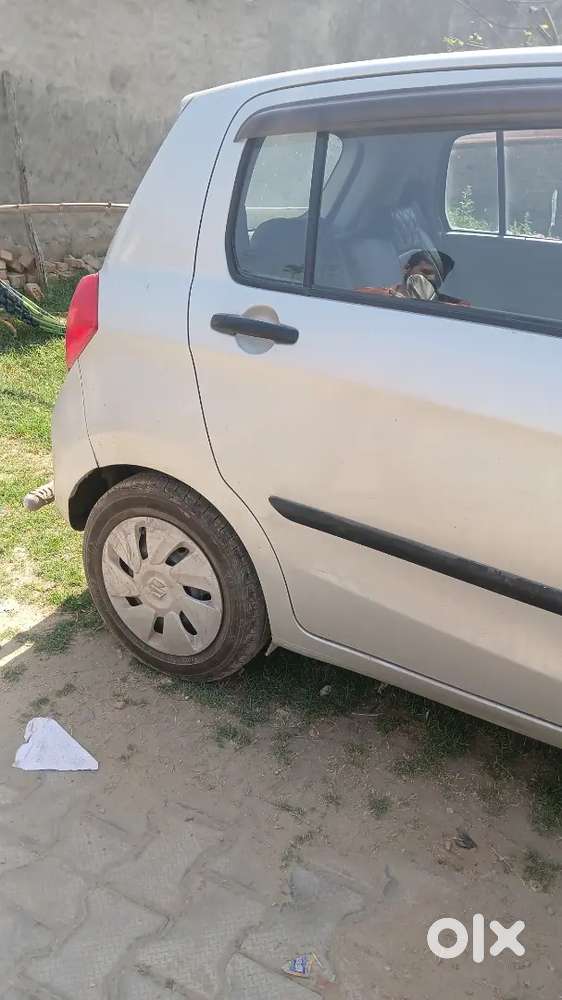 Maruti Suzuki Celerio 2014 Car