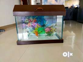 Fish Tanks - Pets for sale in India