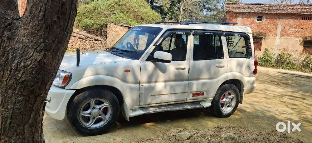 Ek Ghar Me 4 Log Apne Naam Par Kiye The Bari Bari Se Scorpio Achi Hai