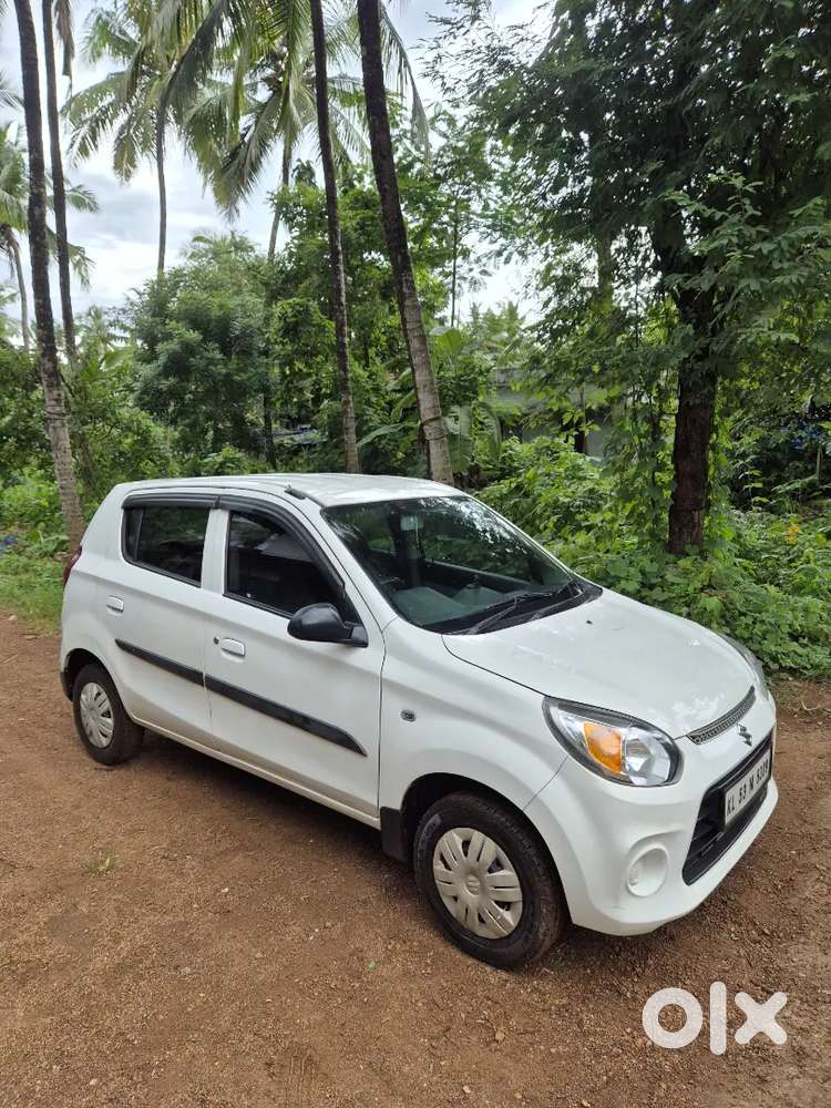 Alto 800 Vxi