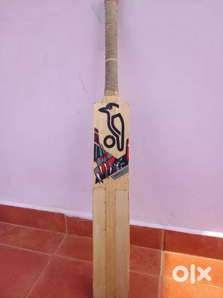 Kookaburra Bat For Sale