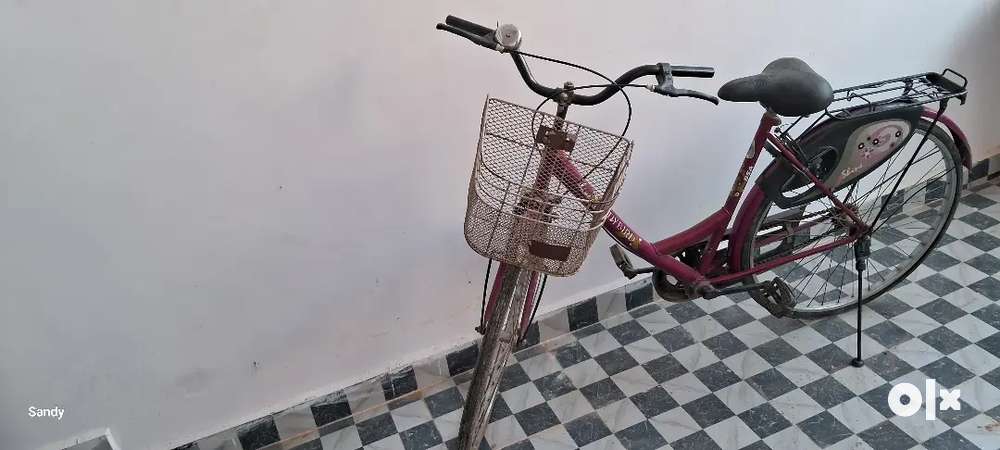 Olx store ladybird cycle