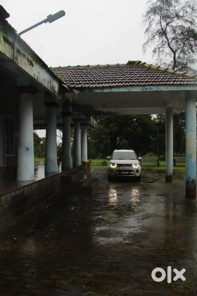 Maruti  Ignis Single Owner Topend Alpha 2024 Petrol 18000 Km Driven