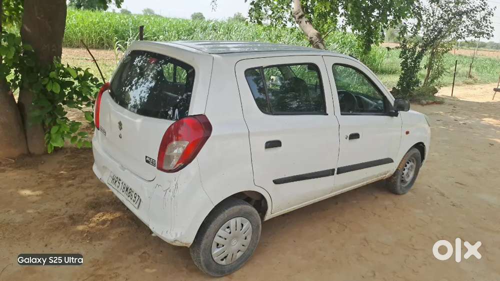 Alto 800 Modal 2017