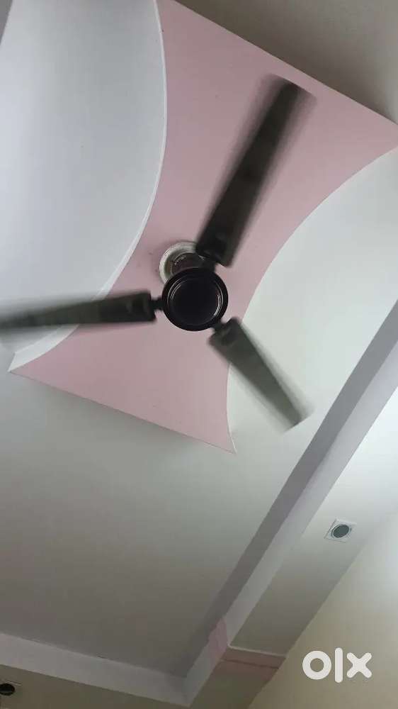 Seiling fan