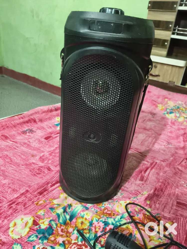 Yoroto music system with mic