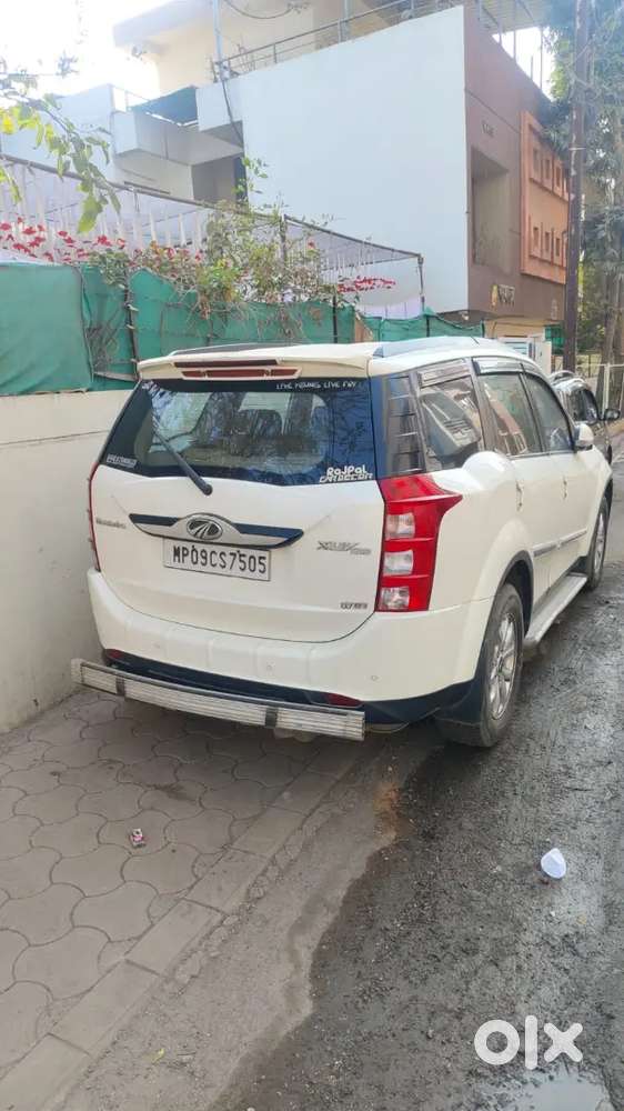 Mute Dial New Insurance Agrees