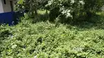 8.75 Cents land sale in Alappuzha.