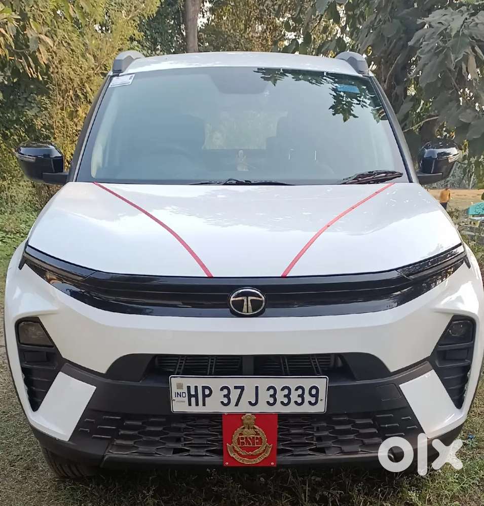 Tata Nexon 2024 Petrol 10500 Km Driven