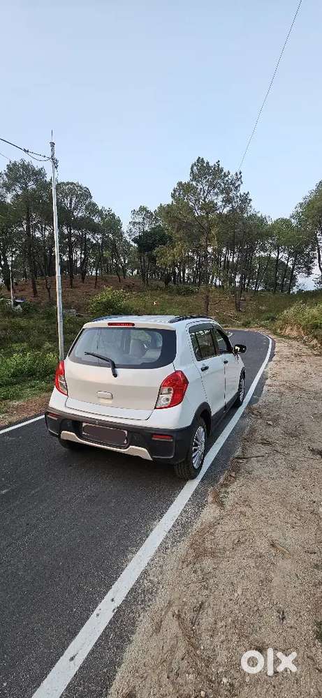 Z Suzuki Celerio X 2019 Petrol 32000 Km Driven