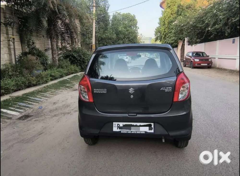 Alto 800 Model 2022