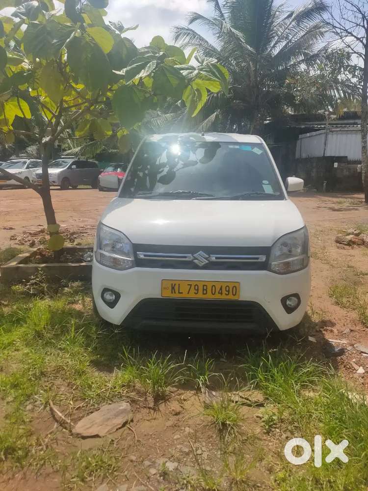 Maruti Suzuki Wagon R 2024 Lxi Cng Optional