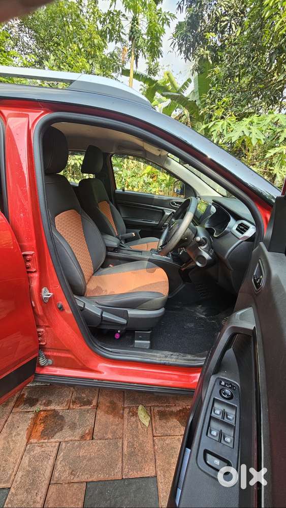 One Year Old Kiger For Sale