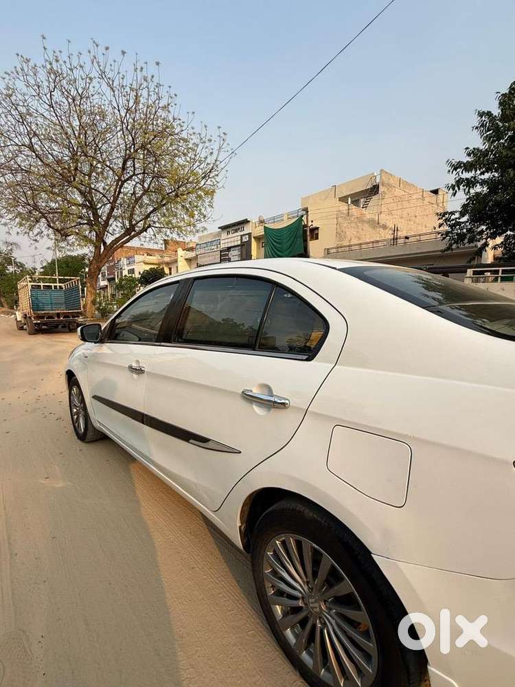 Maruti Suzuki Diesel 2017