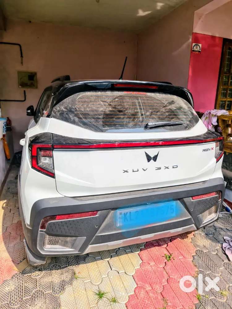 December 2025 3xo Revex