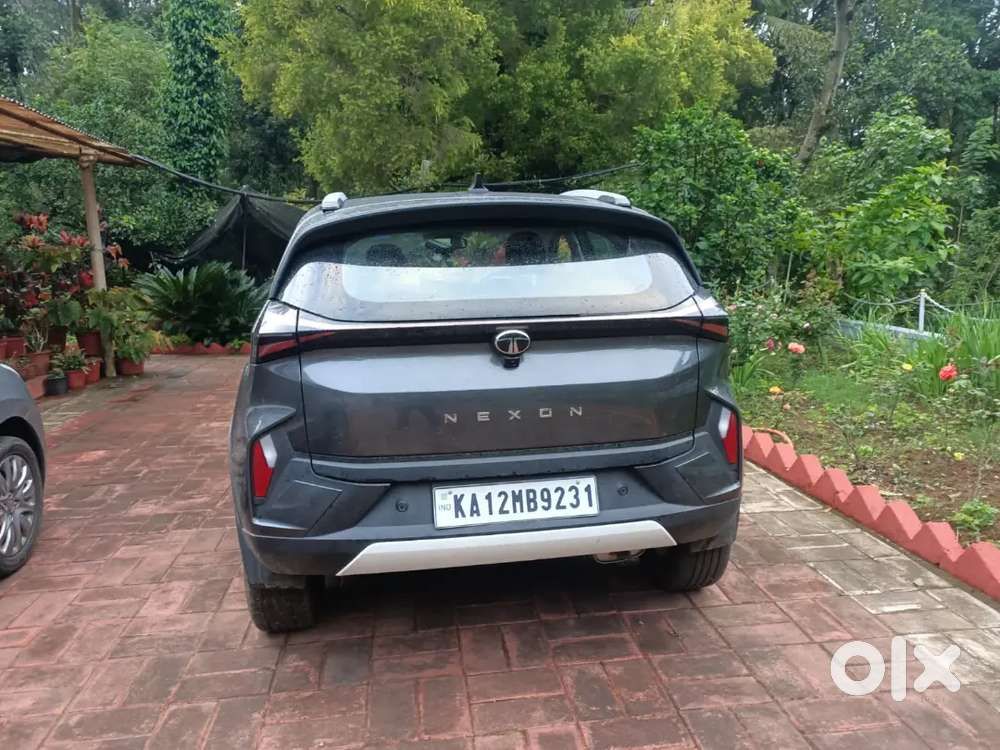Tata Nexon 2024 Petrol Well Maintained