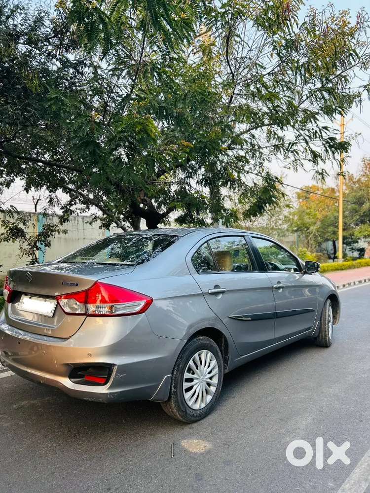 Maruti Suzuki Ciaz 2019 1.5 Sigma Smart Hybrid Mt Petrol