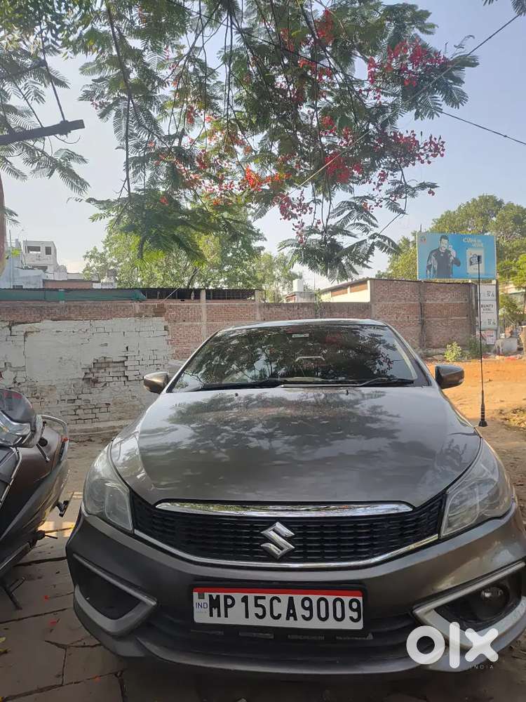 Maruti Suzuki Ciaz Diesel 2019
