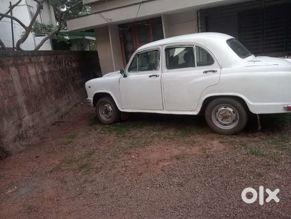 Ambassador Ambassador 2006