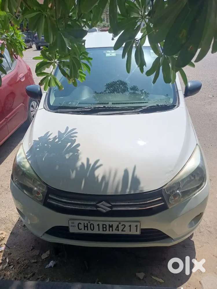 Maruti Suzuki Celerio 2017 Petrol Well Maintained