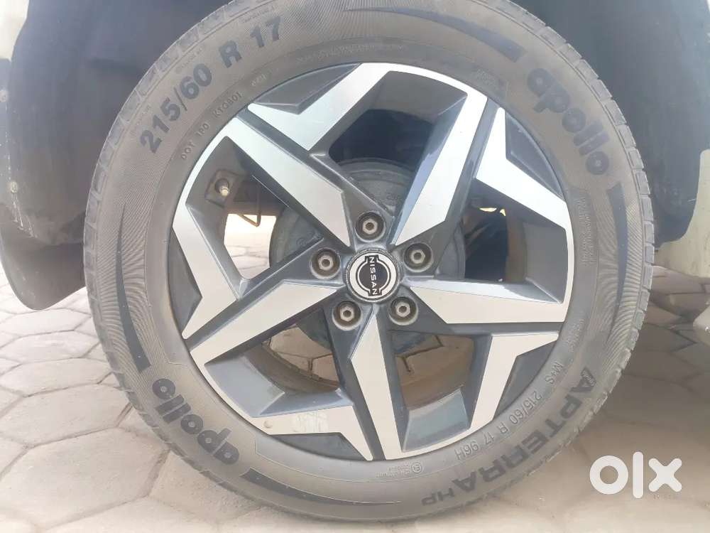 Suberb Condition Terrano Top Model, Superb Condition, Owner-defence