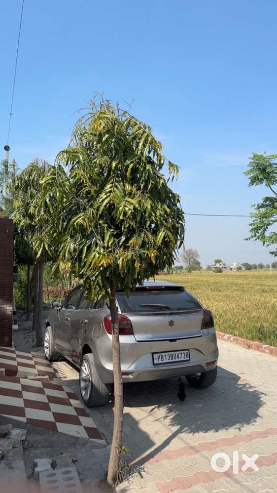 Maruti Baleno Diesel 2015