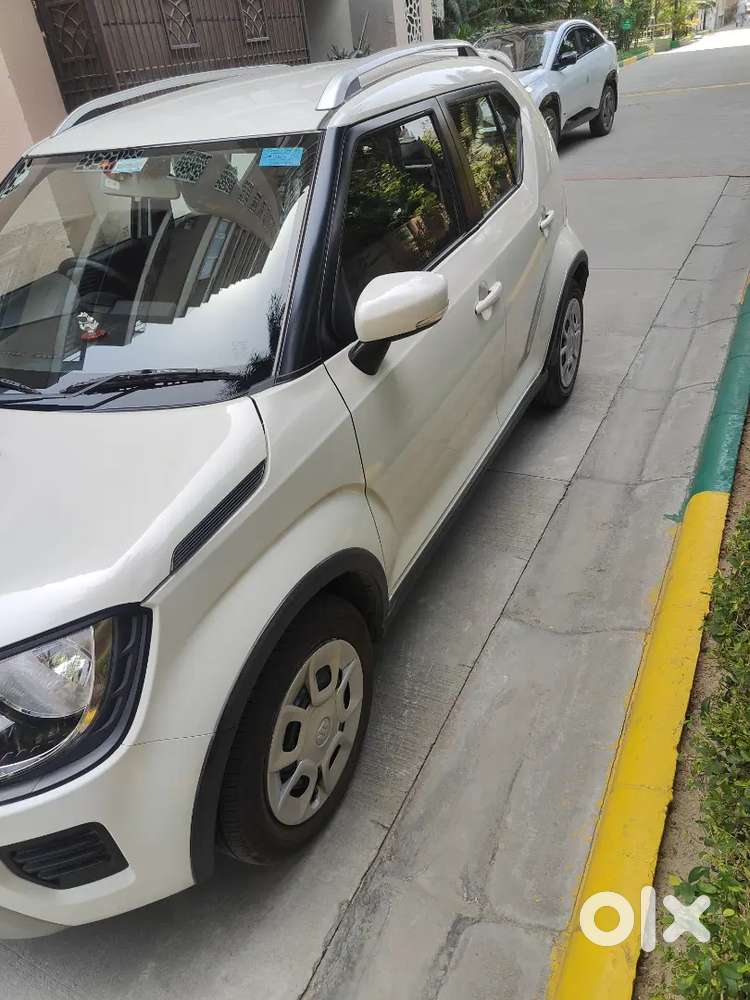 Maruti Suzuki Ignis 2024 Petrol 11300 Km Driven