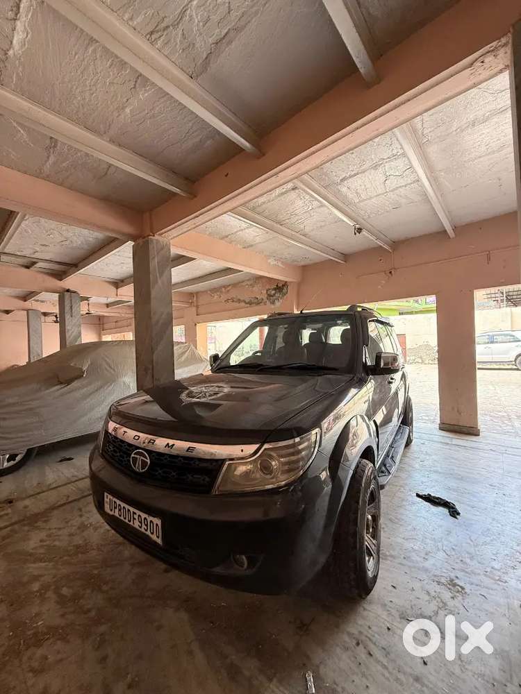 Vip Condition Top Model Safari Storme