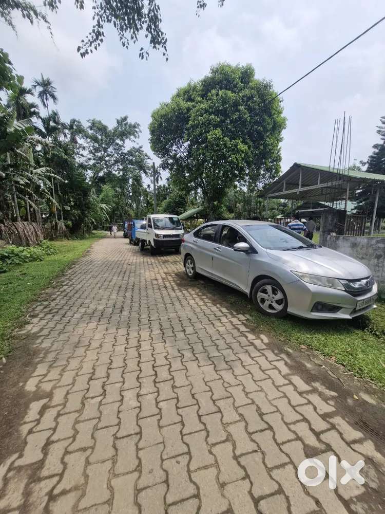 Honda City 2014 Diesel Well Maintained