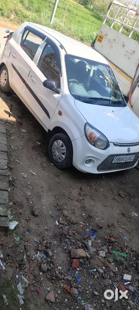 Good Conditions Gaddi