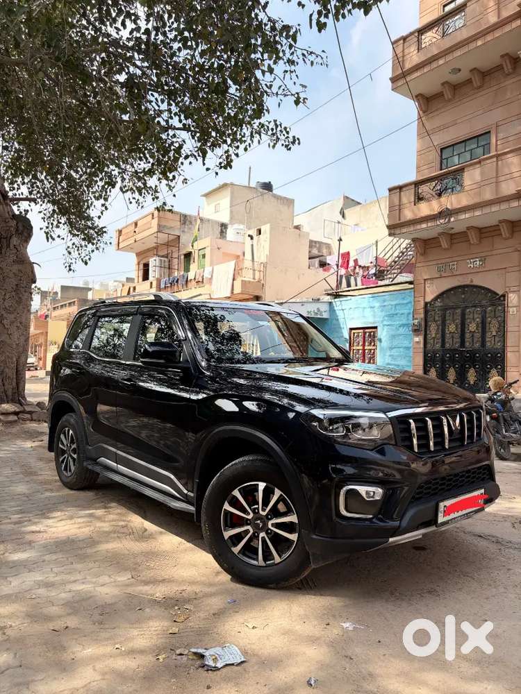 Mahindra Scorpio N 2025 Petrol 15000 Km Driven