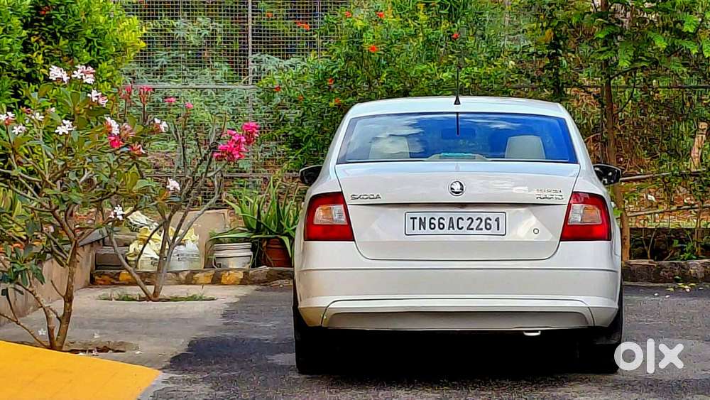 Skoda Rapid 1.6 Mpi At Ambition, 2019, Petrol