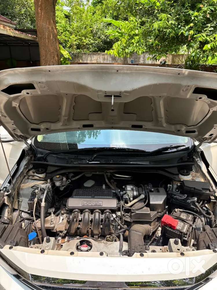 Honda Amaze 2024 Petrol 21000 Km Driven